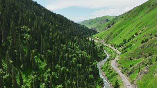 航拍新疆草原森林河流风景