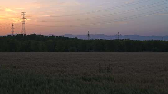 夕阳下的麦田