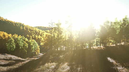 日落时被太阳照亮的群山中的秋树山谷