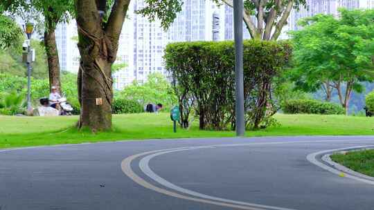 公园绿树成荫的曲径道路