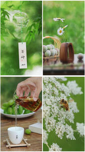 竖屏 芒种 芒种节气 播种 春耕 雨水 小清新