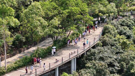 广东观音山国家森林公园第十二届登山大赛