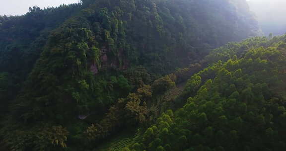 航拍大山风景森林林场早晨阳光美丽自然素材