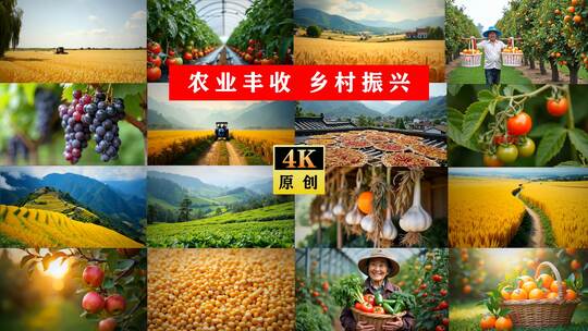 农业收获乡村振兴现代农业收获合集（下）