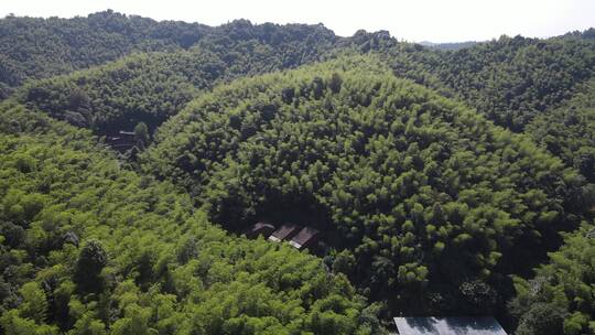 祖国青山绿色湖南常德桃花源