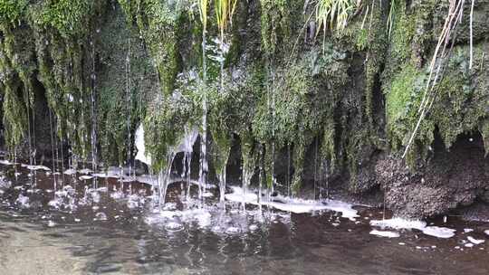 长满青苔岩石上的流水