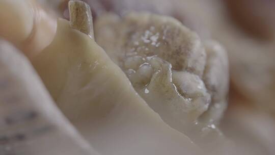 海螺海螺肉LOG视频素材