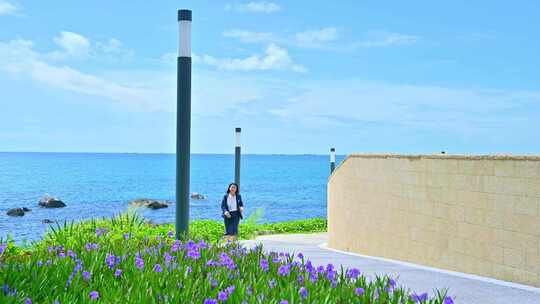 海南三亚天空海洋椰林鲜花小道唯美