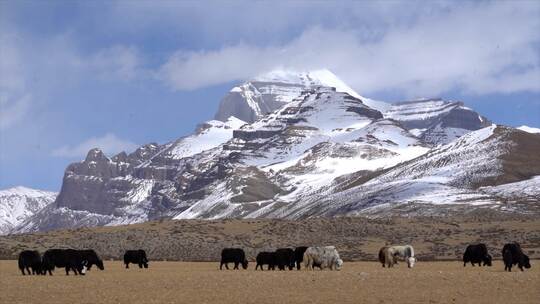 西藏阿里冈仁波齐 雪山