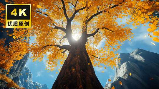 立秋节气秋天秋分唯美风景秋天落叶秋风枯叶