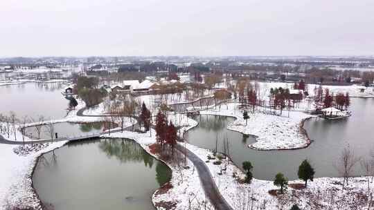 航拍湿地公园雪景树林湖岛木屋杉树木