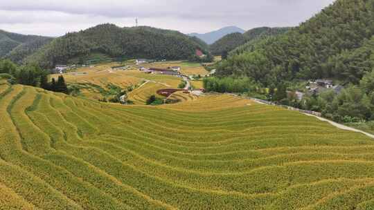 赣州崇义上堡梯田