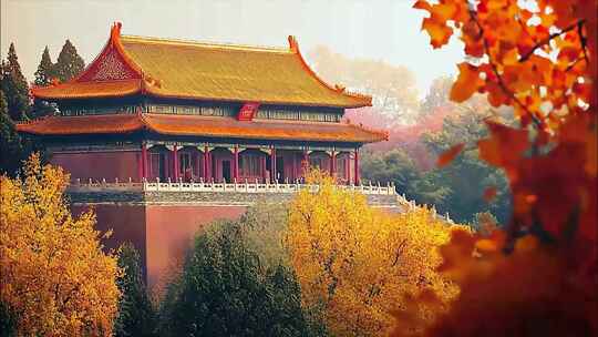 金秋秋分秋色立秋秋天深秋秋景大自然风景风