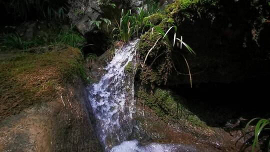 清澈 山水 溪流 大自然 小潭 泉水