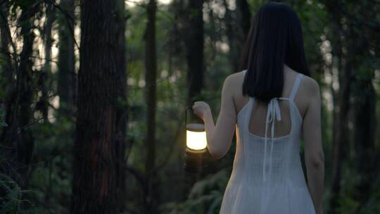 女孩提着马灯在夜幕降临的树林里行走