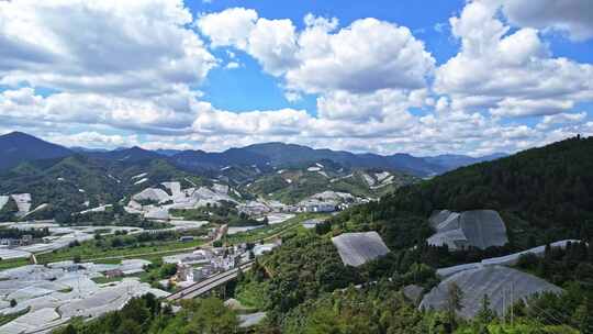 江西赣州赣南寻乌县脐橙种植基地航拍