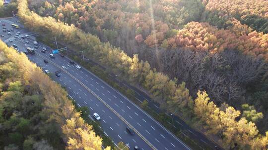 东北秋季公路风景航拍