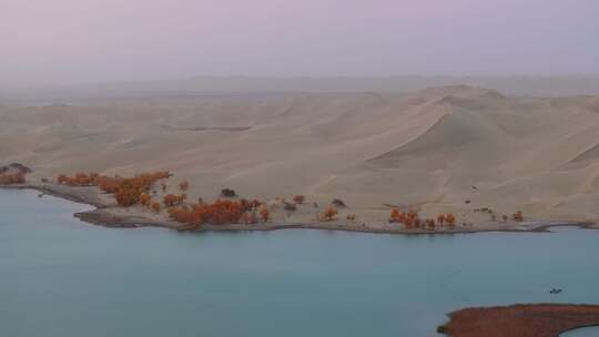 航拍秋天清晨的新疆罗布湖风景