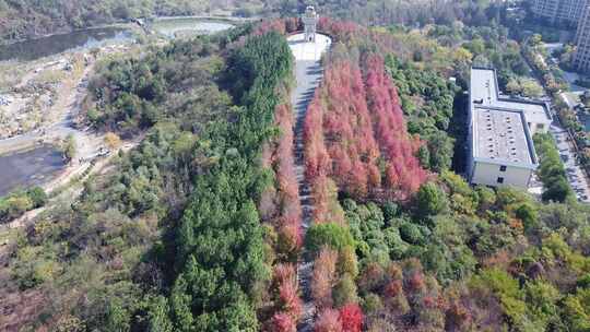 武汉江汉区藏龙岛湿地公园航拍