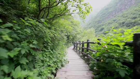 北京双龙峡自然风景区走廊视频素材