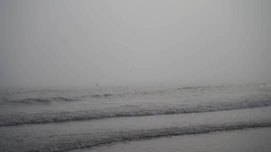 大海飞鸟海面海鸟捕鱼抓鱼阴天海边雨天雾天