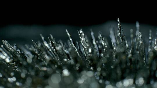 微距实拍4K微观金属被吸引有机物特写素材10