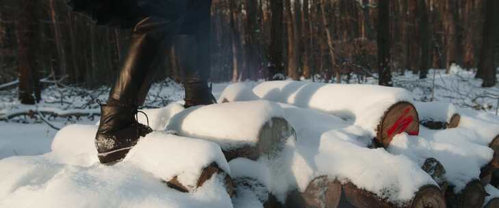 平衡，踏步，雪，木制原木