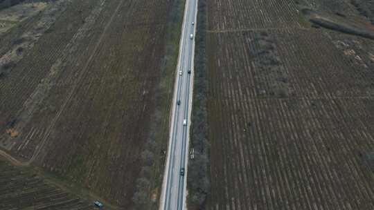 道路 汽车 公路 森林