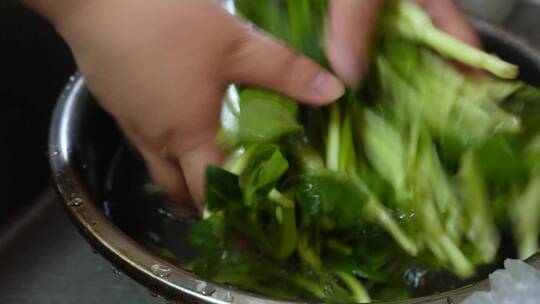 清洗菠菜苗沥水洗菜做菜