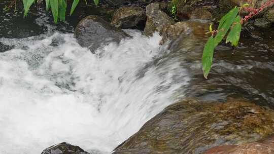 清澈河水河流水源水流溪流溪水