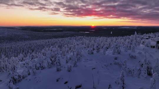 雪景森林冰雪世界阳光日出日落唯美大自然