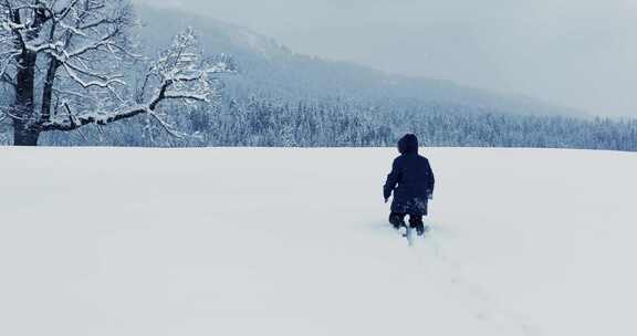 雪，无人机，冬天，寒冷