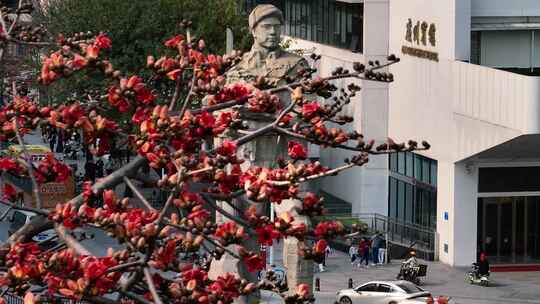 广州宾馆前木棉花与雕像景观