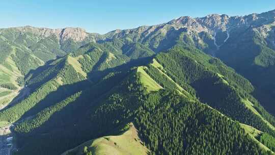 航拍新疆山脉森林自然景观