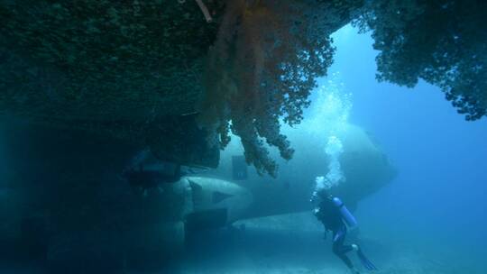 潜水员潜水实拍视频素材模板下载