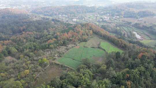 四川德阳罗江区附近山林秋色