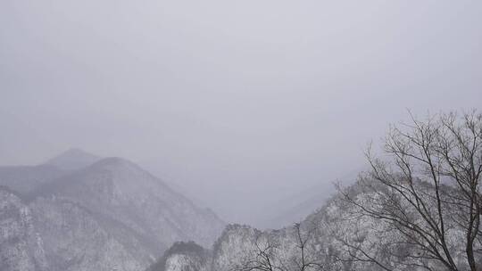 漫天飞雪大雪封山