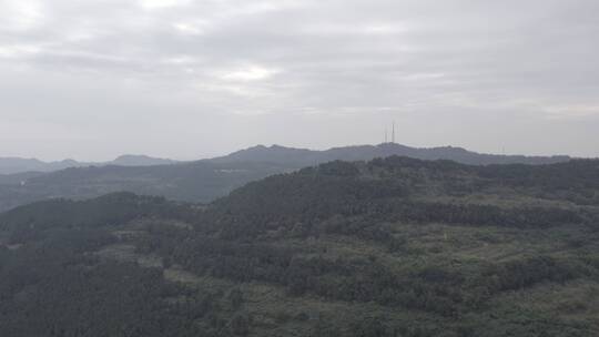龙泉山龙泉第一眼繁华生态环境小森林