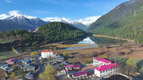 西藏林芝雪山森林视频素材模板下载