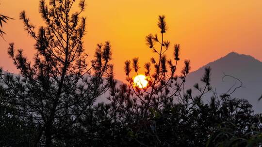 杭州西湖宝石山太阳从树枝间落入高山延时