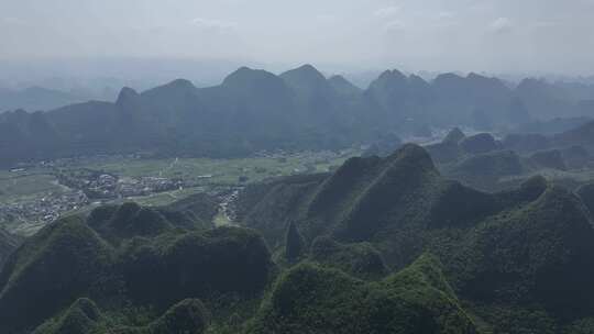 云南罗平世界花海景区