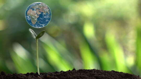 生命种子发芽和地球的概念场景