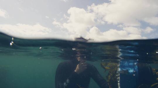 浮潜的潜水员