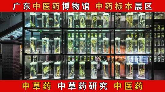 广东中医药博物馆 中药标本展区