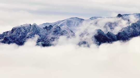 祁连山国家公园雾凇
