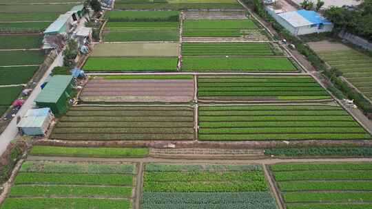 农业基地农作物种植航拍