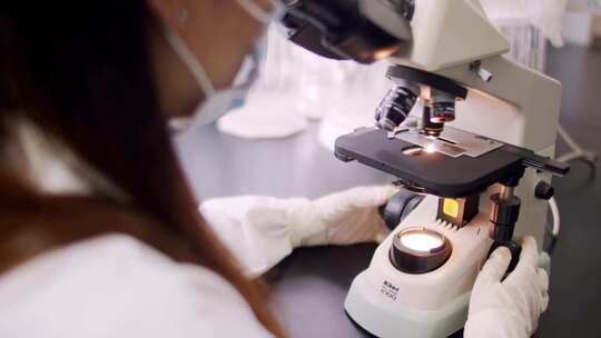 实拍实验室科研人员认真操作显微镜