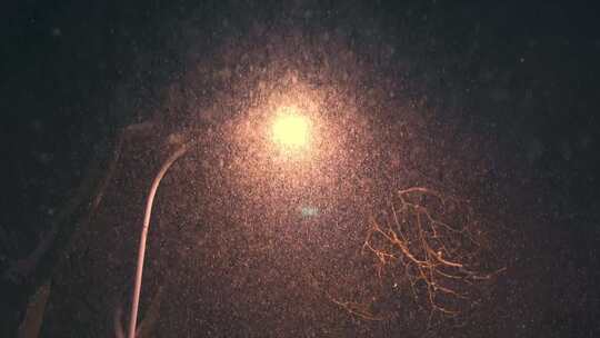 夜晚路灯下雪 雪景唯美
