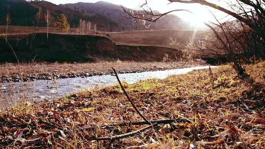 多莉滑块拍摄了森林湿岩和阳光附近山河中飞