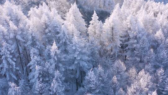 4k航拍恩施雪山雾凇风光